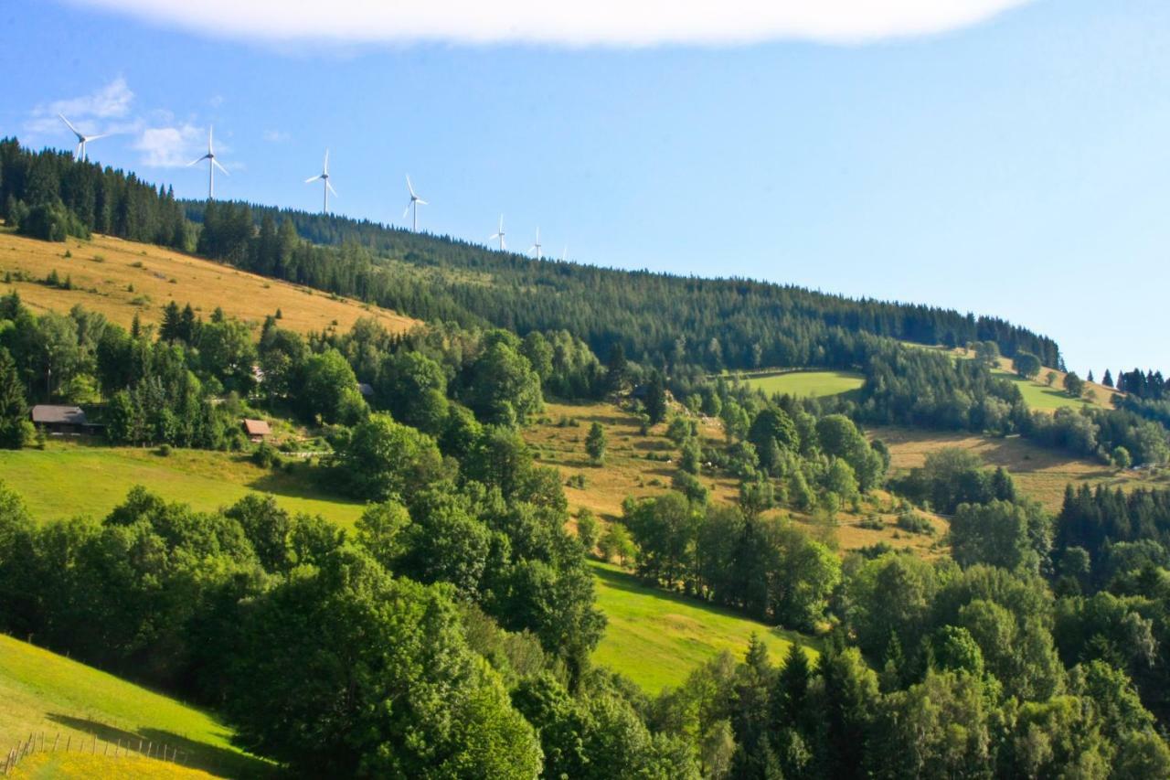 Genussgasthof Willenshofer Санкт-Катрайн-ам-Хауэнштайн Экстерьер фото